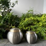 Silver gold Pet Urn with Gold rimmed lid and Gold paws