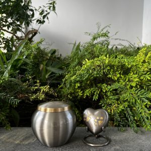 Steel Paw Heart Brass Keepsake